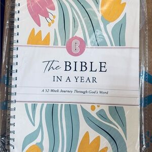Bible in a Year Journal - Multicolor